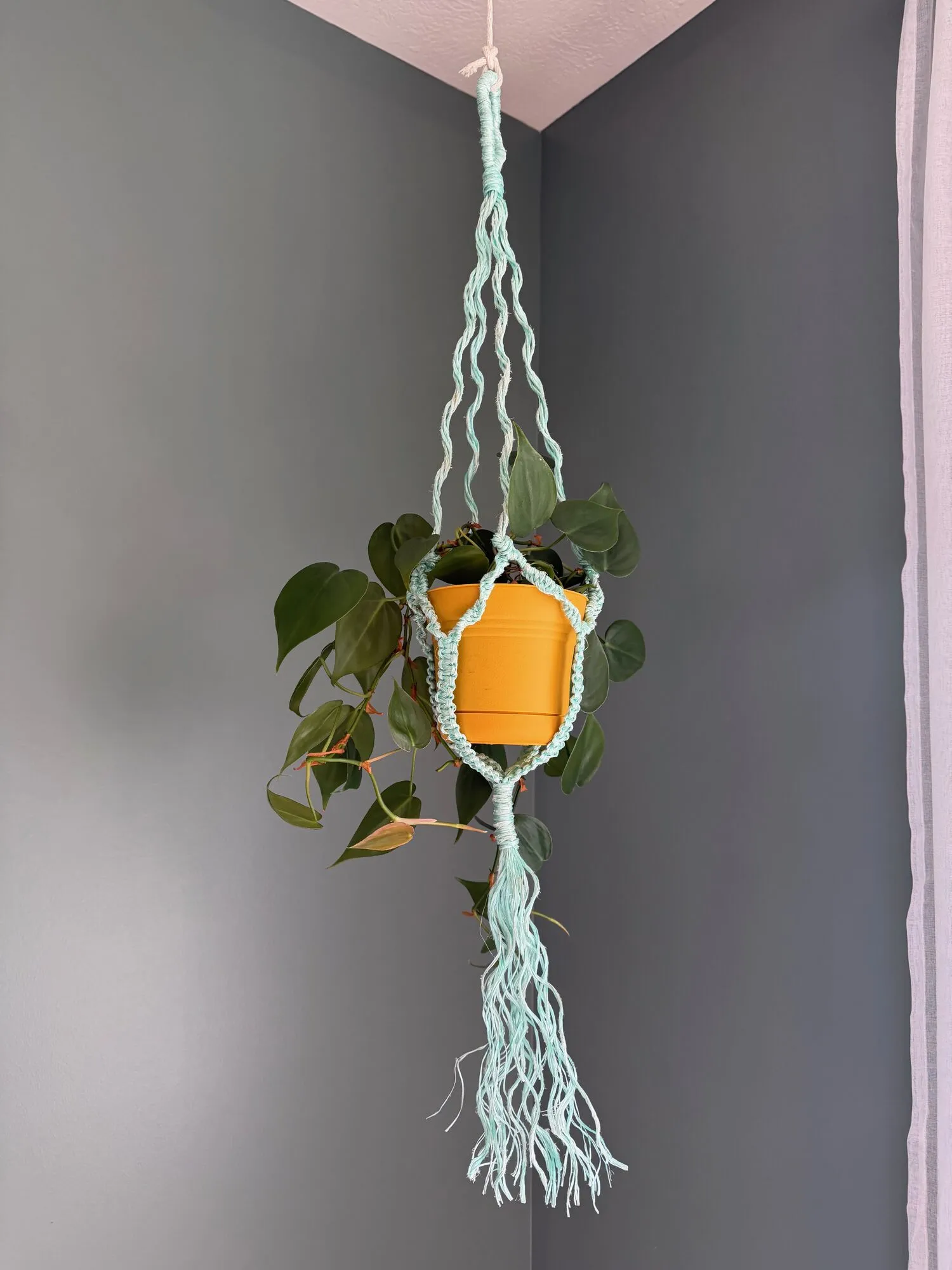Mint rope macrame plant hanger holding an orange pot