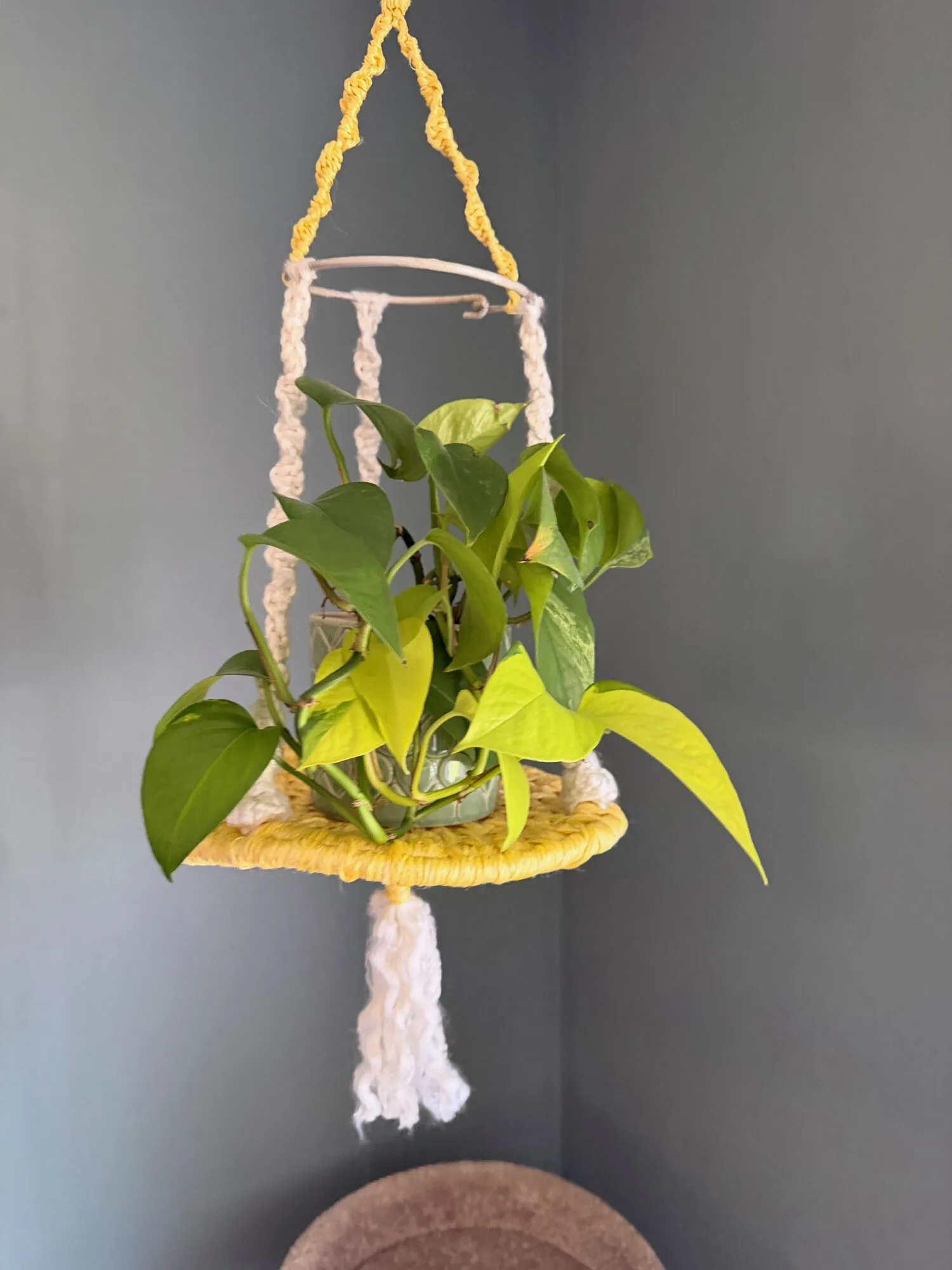Rope plant hanger with a yellow shelf holding a pothos
