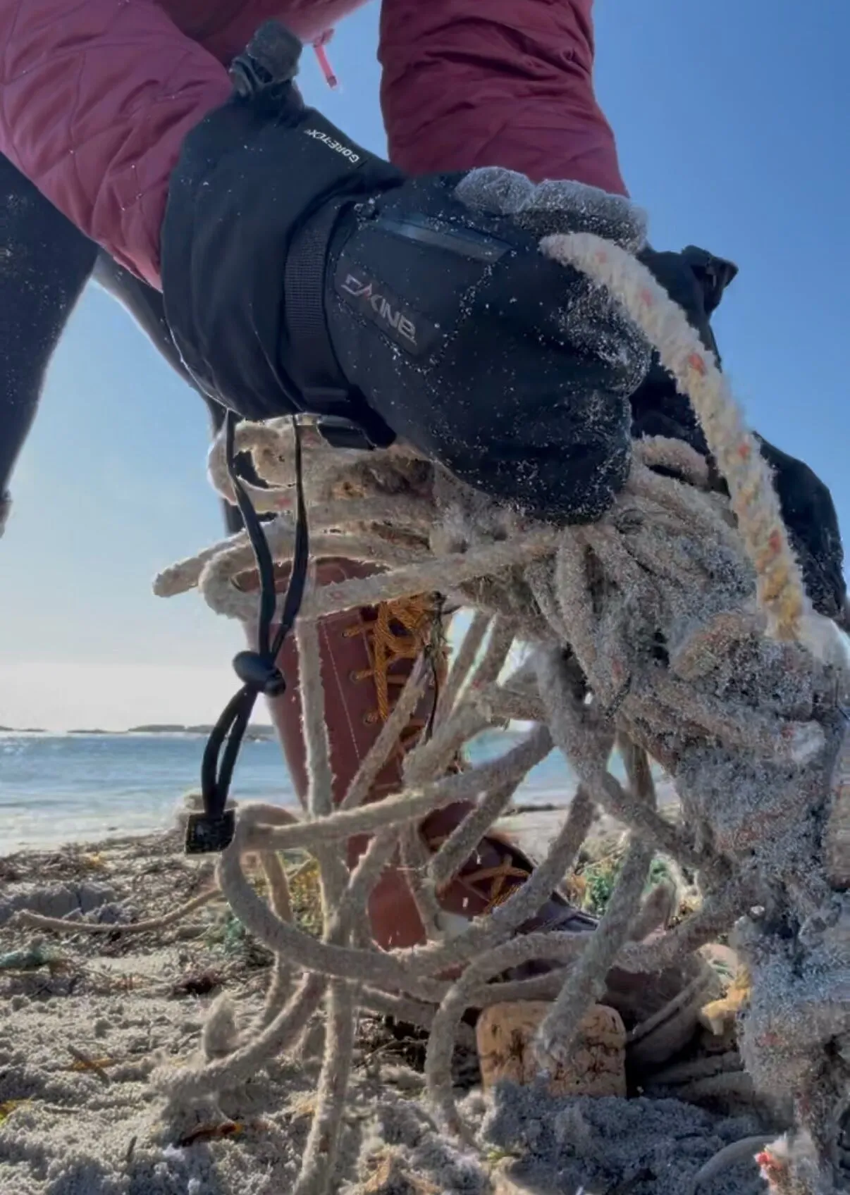 Gloved hands pulling a tangle of old lobster rope off the beach